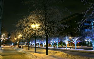 Preview wallpaper trees, park, winter, ornament, decor, street, night, city