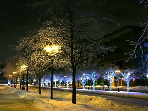 Preview wallpaper trees, park, winter, ornament, decor, street, night, city