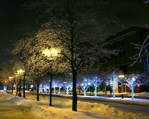 Preview wallpaper trees, park, winter, ornament, decor, street, night, city