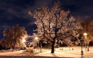 Preview wallpaper trees, park, winter, night, hoarfrost, signs, lamps