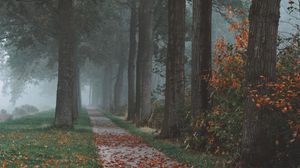 Preview wallpaper trees, path, fog, autumn, park, landscape