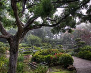 Preview wallpaper trees, path, haze, garden, bushes