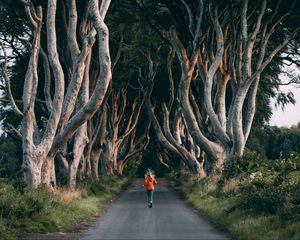 Preview wallpaper trees, path, person, running, alley