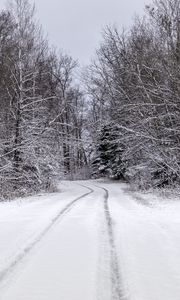 Preview wallpaper trees, path, snow, winter, nature, landscape