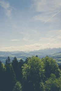 Preview wallpaper trees, peaks, mountains