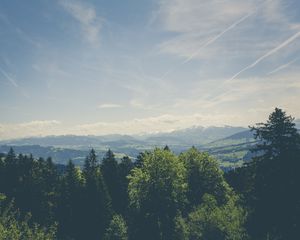 Preview wallpaper trees, peaks, mountains