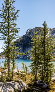 Preview wallpaper trees, pines, lake, mountain, nature