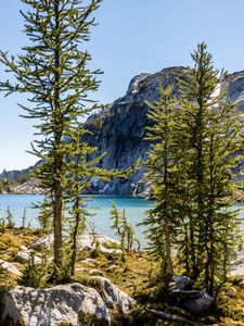 Preview wallpaper trees, pines, lake, mountain, nature