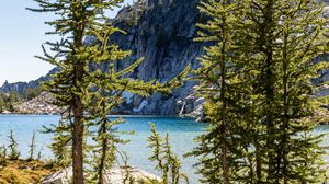 Preview wallpaper trees, pines, lake, mountain, nature