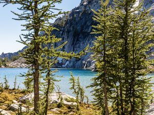 Preview wallpaper trees, pines, lake, mountain, nature