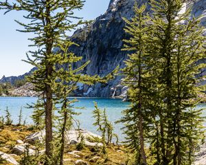 Preview wallpaper trees, pines, lake, mountain, nature