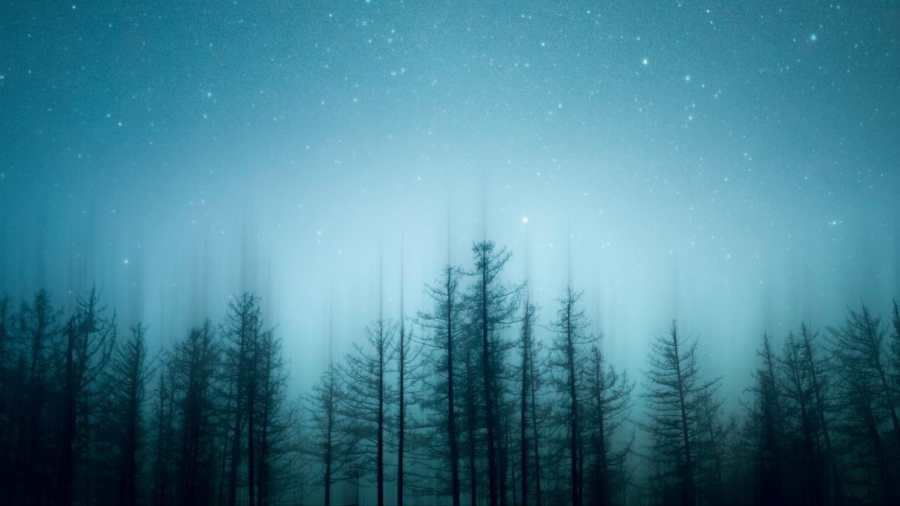 Wallpaper trees, pines, starry sky, night, blur