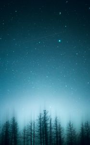 Preview wallpaper trees, pines, starry sky, night, blur