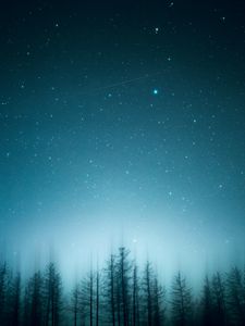 Preview wallpaper trees, pines, starry sky, night, blur