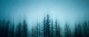 Preview wallpaper trees, pines, starry sky, night, blur