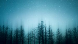 Preview wallpaper trees, pines, starry sky, night, blur