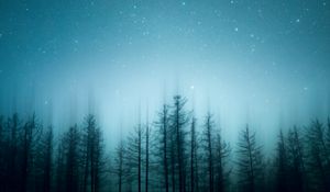 Preview wallpaper trees, pines, starry sky, night, blur