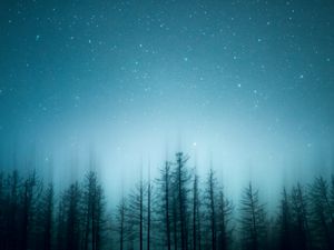 Preview wallpaper trees, pines, starry sky, night, blur