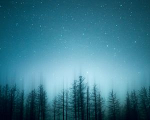 Preview wallpaper trees, pines, starry sky, night, blur