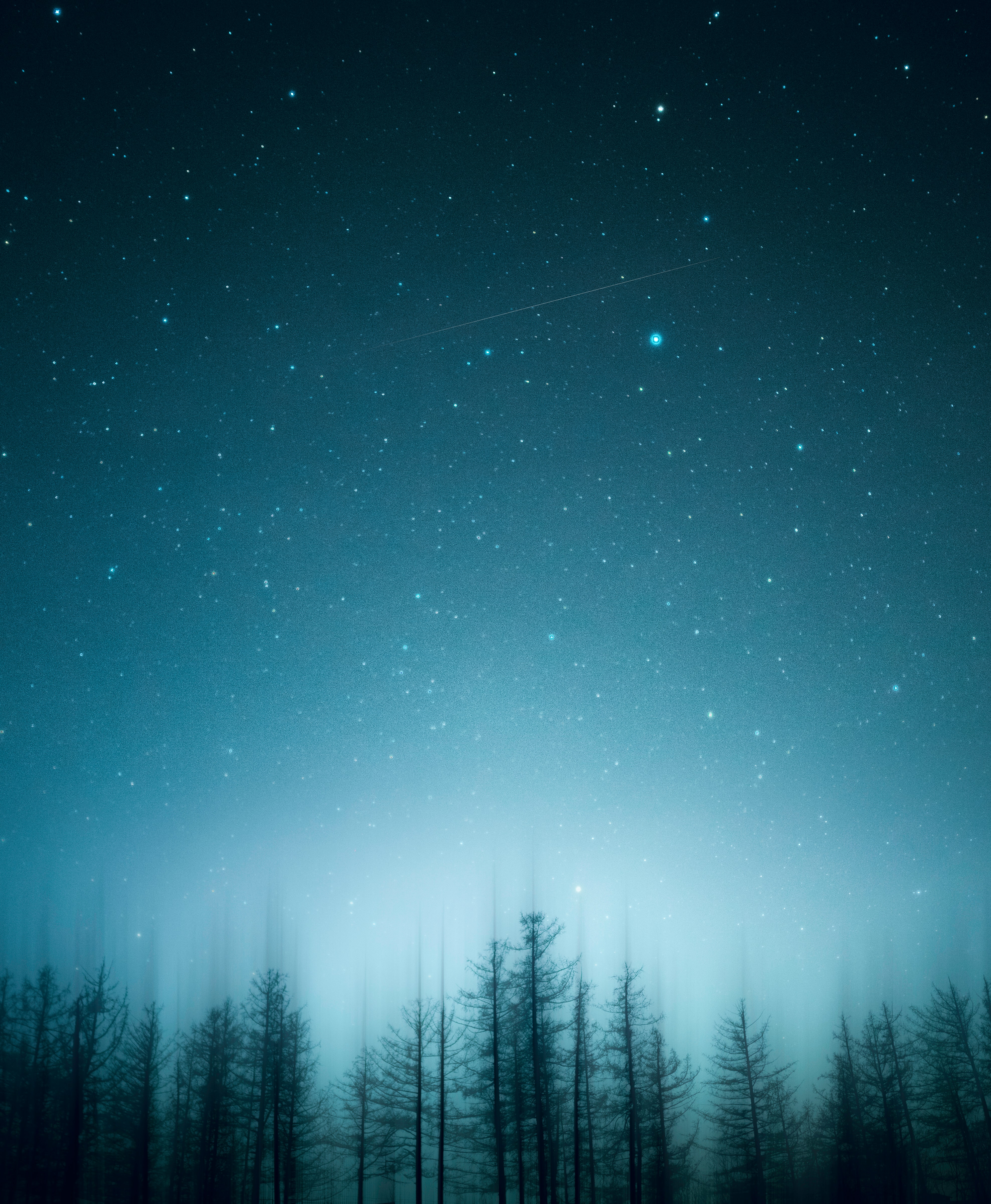 Download wallpaper 3952x4801 trees, pines, starry sky, night, blur hd  background
