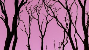 Preview wallpaper trees, pink, silhouette, dark