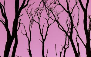 Preview wallpaper trees, pink, silhouette, dark