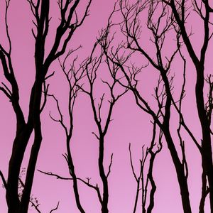 Preview wallpaper trees, pink, silhouette, dark