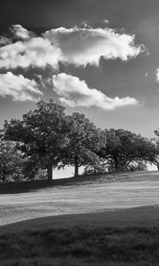 Preview wallpaper trees, plain, grass, landscape, black and white