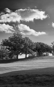 Preview wallpaper trees, plain, grass, landscape, black and white