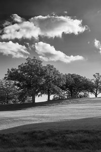 Preview wallpaper trees, plain, grass, landscape, black and white