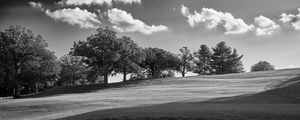 Preview wallpaper trees, plain, grass, landscape, black and white