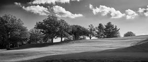 Preview wallpaper trees, plain, grass, landscape, black and white