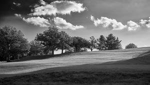 Preview wallpaper trees, plain, grass, landscape, black and white