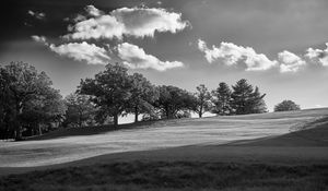 Preview wallpaper trees, plain, grass, landscape, black and white