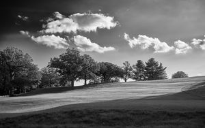 Preview wallpaper trees, plain, grass, landscape, black and white
