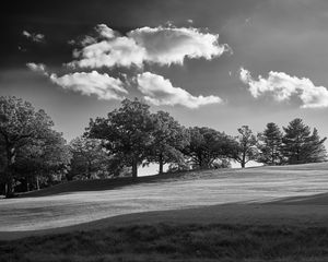 Preview wallpaper trees, plain, grass, landscape, black and white