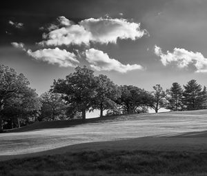 Preview wallpaper trees, plain, grass, landscape, black and white