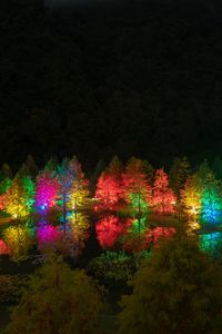 Preview wallpaper trees, pond, illumination, backlight, colorful, night