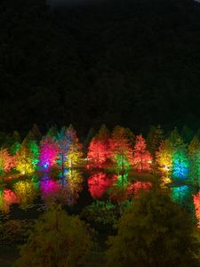 Preview wallpaper trees, pond, illumination, backlight, colorful, night