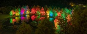 Preview wallpaper trees, pond, illumination, backlight, colorful, night