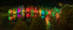 Preview wallpaper trees, pond, illumination, backlight, colorful, night