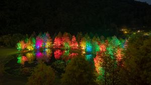 Preview wallpaper trees, pond, illumination, backlight, colorful, night