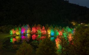 Preview wallpaper trees, pond, illumination, backlight, colorful, night