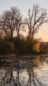 Preview wallpaper trees, pond, nature, branches