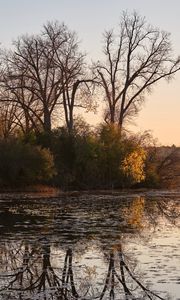 Preview wallpaper trees, pond, nature, branches