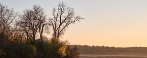 Preview wallpaper trees, pond, nature, branches