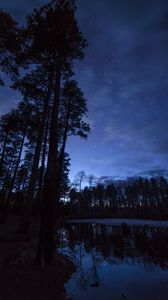 Preview wallpaper trees, pond, night, starry sky