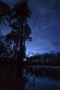 Preview wallpaper trees, pond, night, starry sky