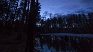 Preview wallpaper trees, pond, night, starry sky