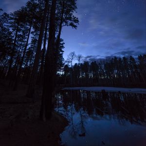 Preview wallpaper trees, pond, night, starry sky